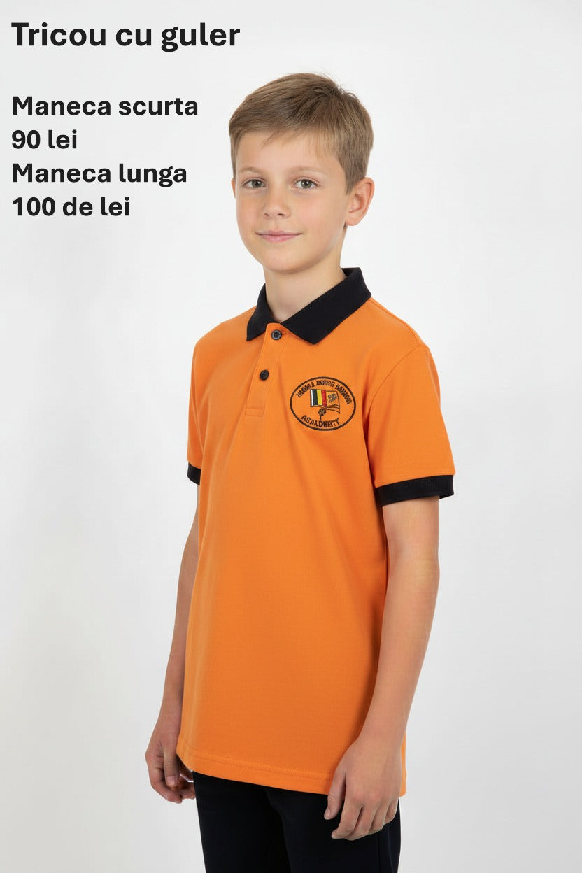 Tricou cu guler
